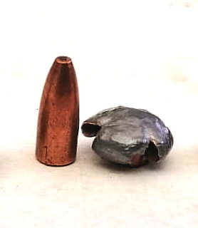 .224 45gr SP Wetpack Test
